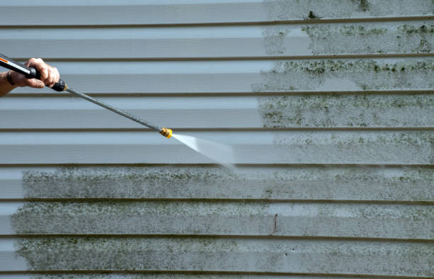 Best Driveway Pressure Washing  in Flemingsburg, KY