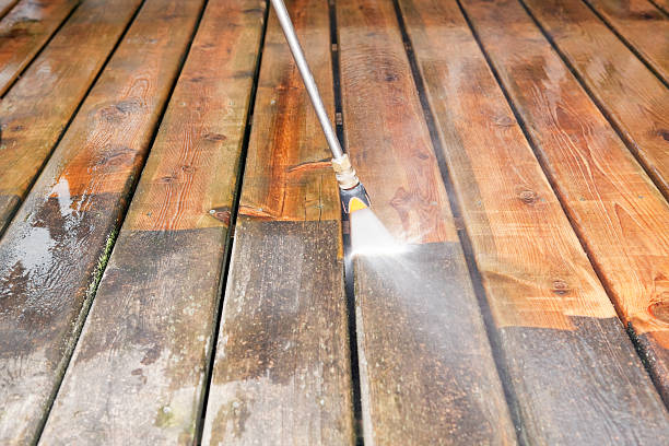 Best Roof Washing  in Flemingsburg, KY